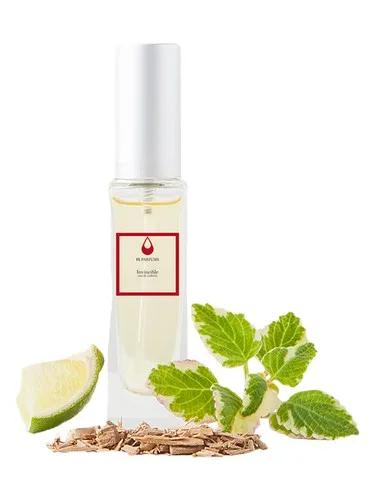Invincible — FL Parfums