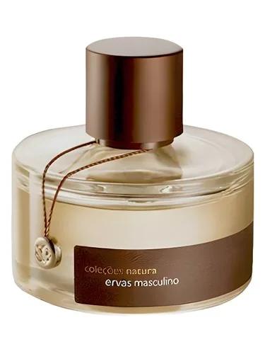 Ervas Masculino — Natura