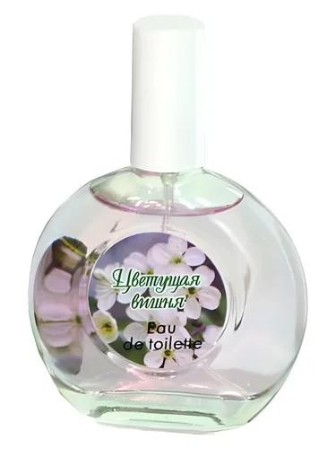 Cherry Blossom — Pokrovka Trading House