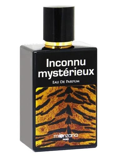 Inconnu Mysterieux — Manzana Paris
