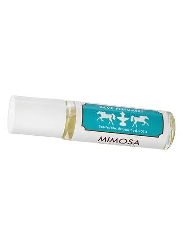 Soliflore Mimosa — Dame Perfumery
