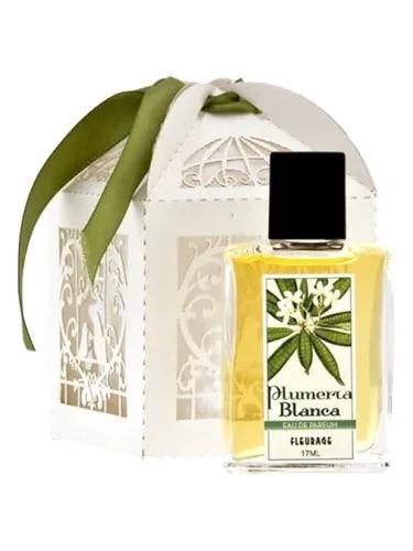 Plumeria Blanca — Fleurage