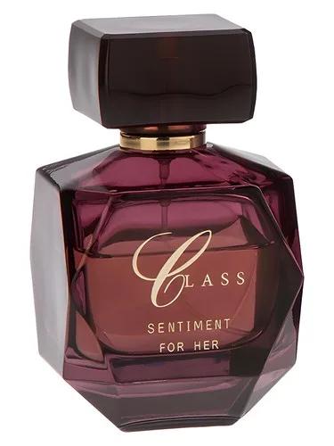 Sentiment — Class