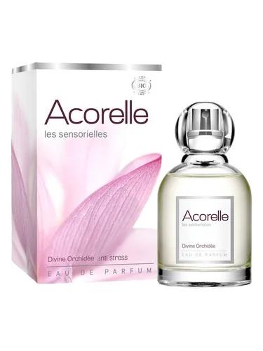Divine Orchidee — Acorelle