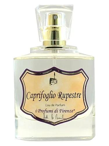 Caprifoglio Rupestre — I Profumi di Firenze
