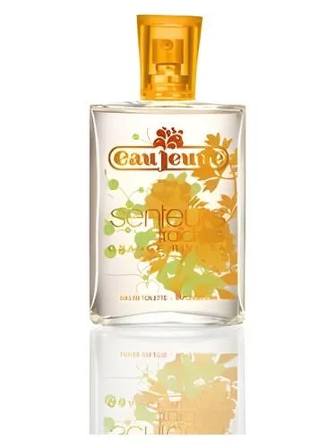 Orange Riviera — Eau Jeune