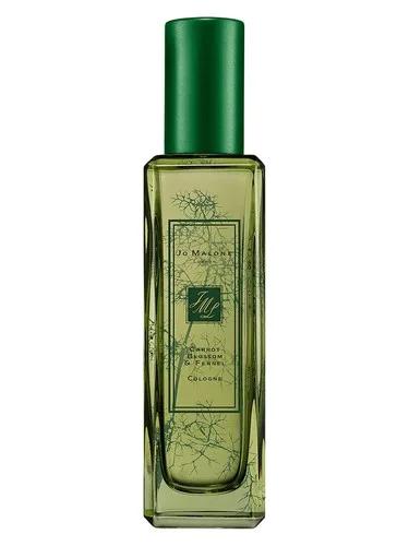 Carrot Blossom & Fennel — Jo Malone London
