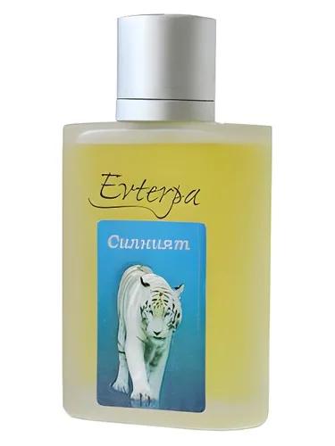 Silniyat — Evterpa