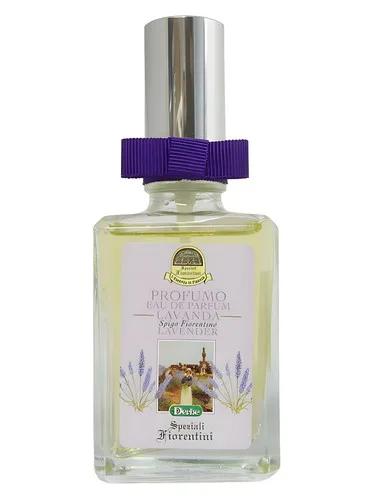 Lavanda — Derbe