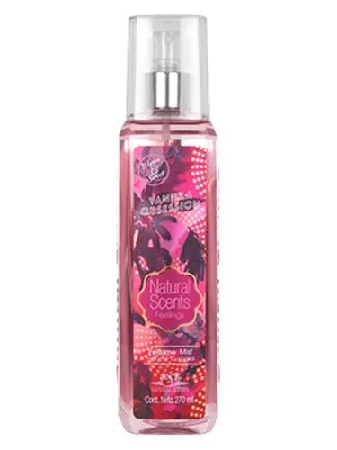 Vanilla Obsession — Natural Scents