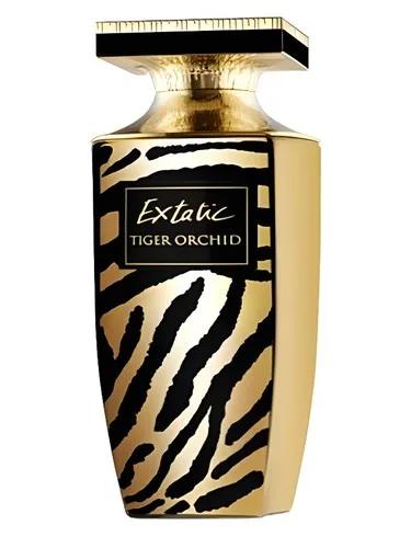 Extatic Tiger Orchid — Pierre Balmain