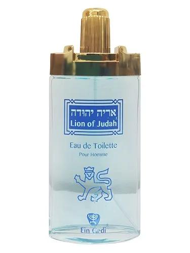Lion of Judah — Ein Gedi