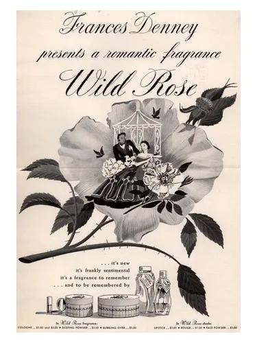 Wild Rose — Frances Denney
