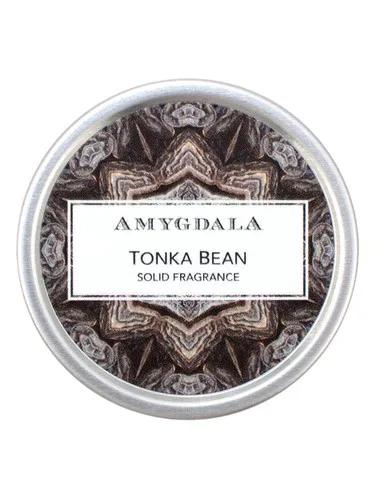 Tonka Bean — Amygdala