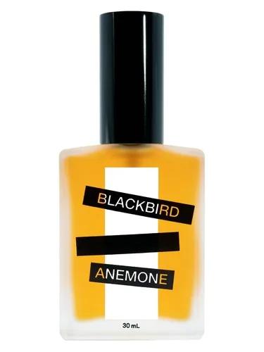 Anemone — Blackbird