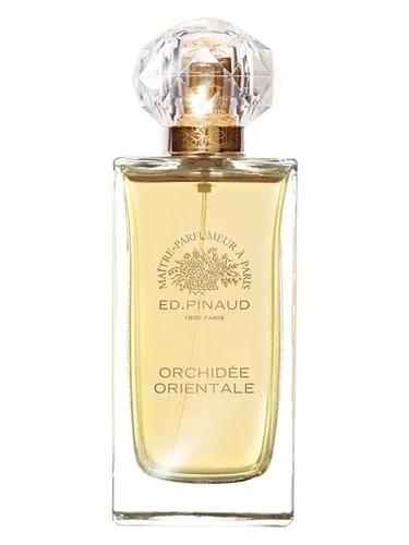 Orchidée Orientale — Ed Pinaud