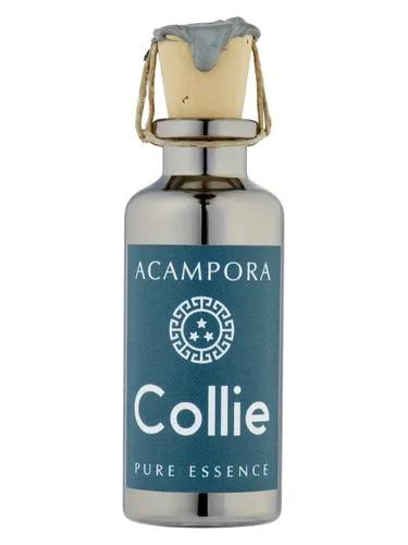 Collie Pure Essence — Bruno Acampora