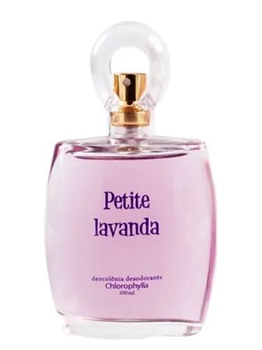 Petite Lavanda — Chlorophylla