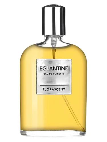 Eglantine — Florascent