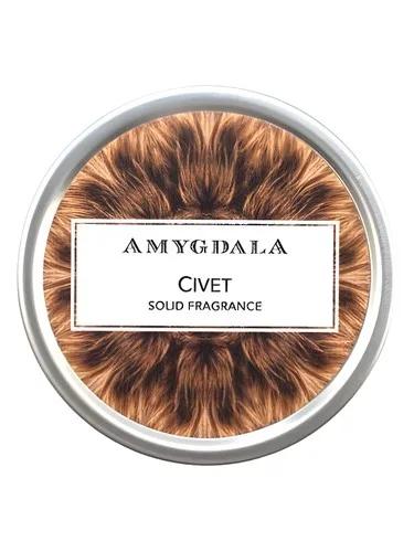 Civet — Amygdala