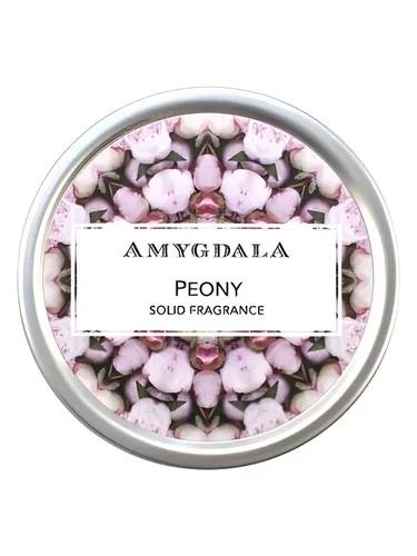 Peony — Amygdala