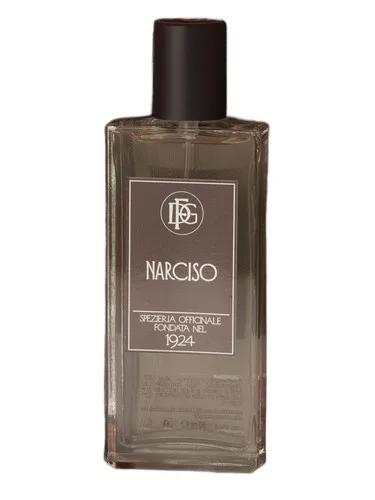 Narciso — DFG1924