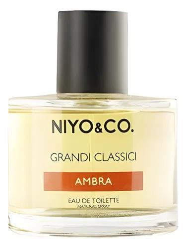 Ambra NIYO&CO — Niyo & Co.