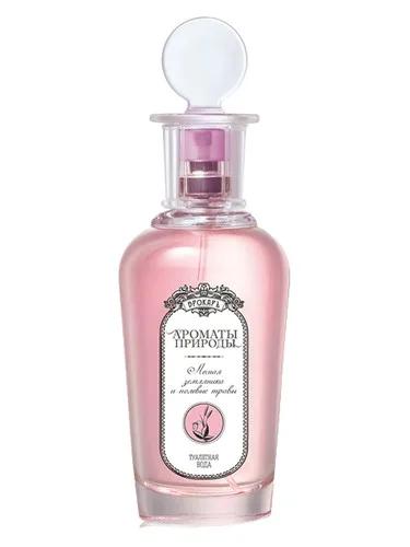 Лесная земляника и полевые травы - Wild Strawberry and Herbs — Brocard / Брокард