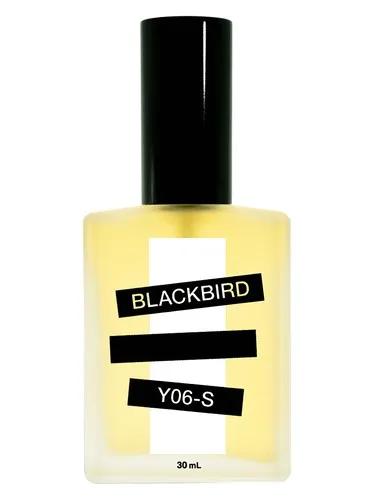 Y06-S — Blackbird