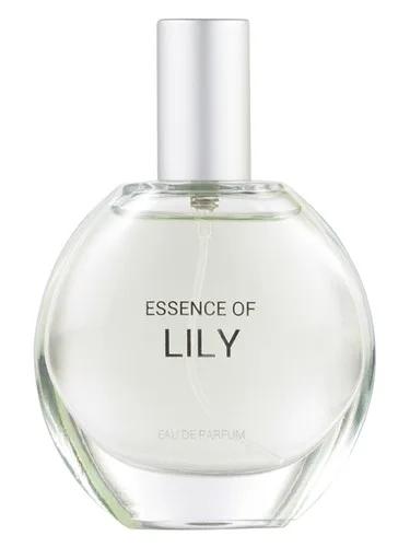 Essence of Lily C&A — C A