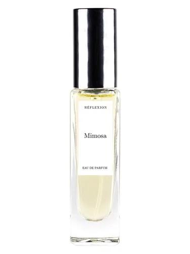 Mimosa — Reflexion