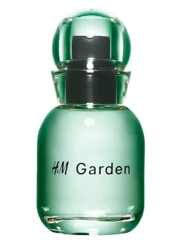 H&M Garden - Sunlit dew H&M — H&M