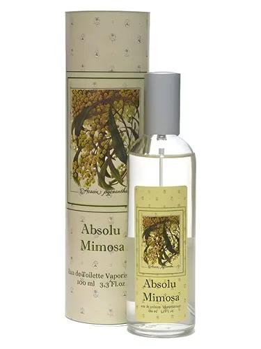 Absolu Mimosa Provence & Nature — Provence Nature
