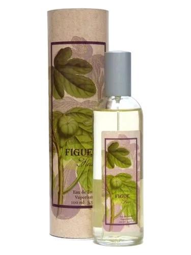 Figue Fleur Provence & Nature — Provence Nature
