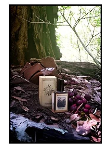 Black Forest — Solstice Scents