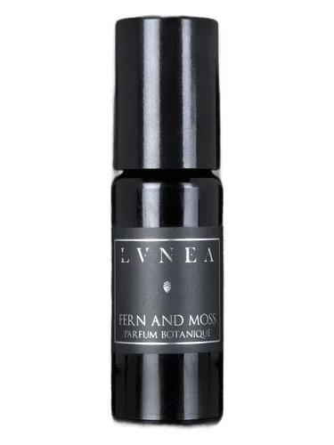 Fern and Moss — Lvnea
