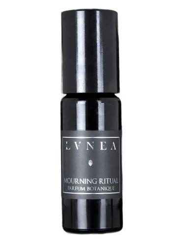 Morning Ritual — Lvnea