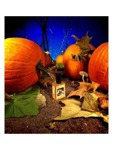 Gunnerson's Pumpkin Patch — Solstice Scents