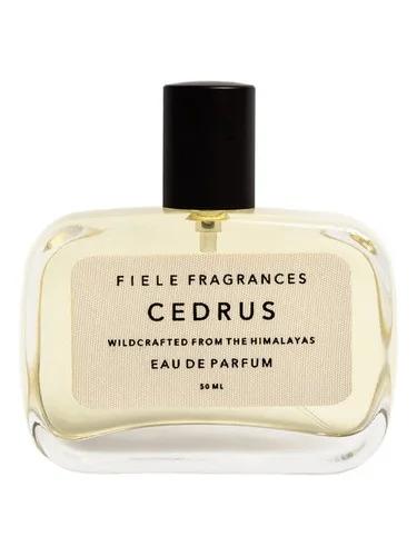 Cedrus — Fiele Fragrances