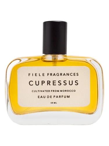 Cupressus — Fiele Fragrances