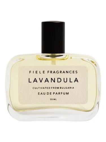 Lavandula — Fiele Fragrances
