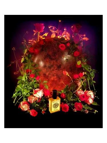 Orient Rose — Solstice Scents