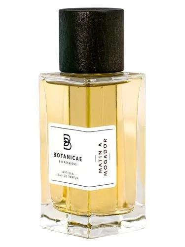 Matin a Mogador — Botanicae