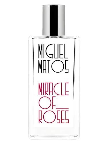 Miracle of Roses — Miguel Matos