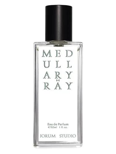 Medullary-ray — Jorum Studio