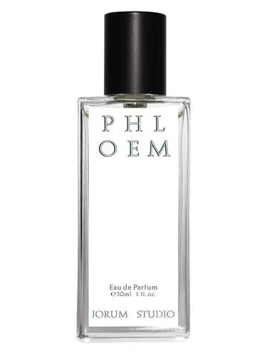 Phloem — Jorum Studio