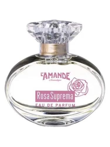 Rosa Suprema L'Amande — L'Amande