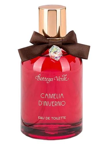 Camelia d'Inverno — Bottega Verde