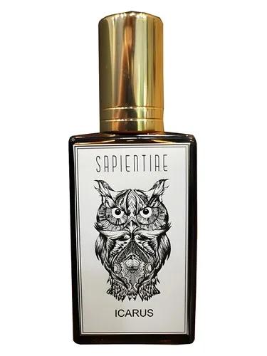 Icarus — Sapientiae Niche
