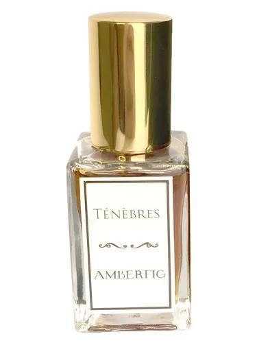 Ténèbres — Amberfig